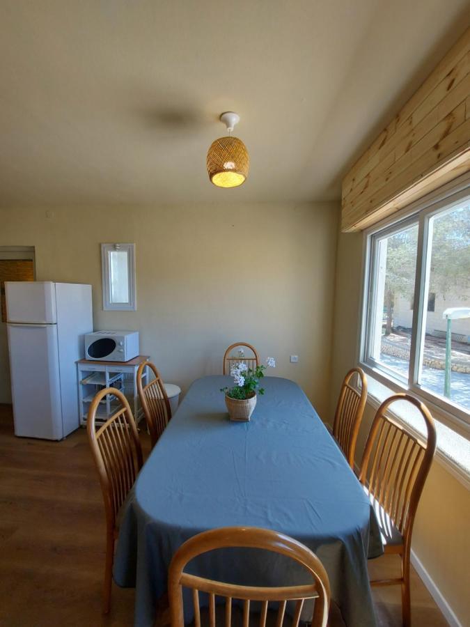 Apartment Desert Tribe
